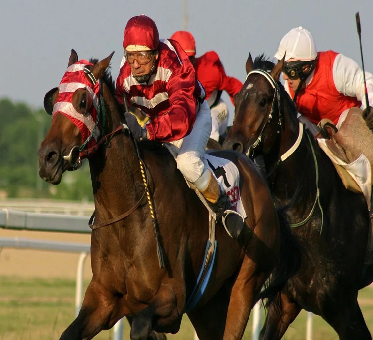 Cá Cược Đua Ngựa Tại Sp666: Trải Nghiệm Hấp Dẫn Cho Người Chơi 2 Cá Cược Đua Ngựa Tại Sp666: Trải Nghiệm Hấp Dẫn Cho Người Chơi